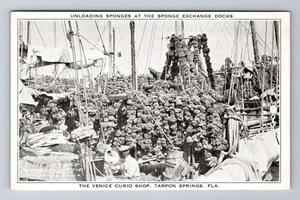 Tarpon Springs FL-Florida, The Venice Curio Shop, Antique, Vintage Postcard - Picture 1 of 2