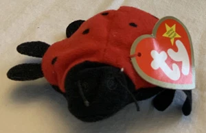 TY Teenie Beanie Baby - Lucky The Ladybug MWMT - Imagen 1 de 5