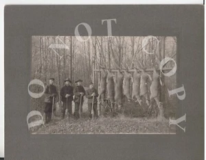 Antique c. 1907 Deer Hunting Hunters Camp Cabinet Photograph Dead Deer Hanging - Picture 1 of 3