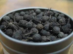 Kabab Chini CUBEB, Piper cubeba, Java pepper WHOLE Organic FREE SHIPPING - Picture 1 of 1