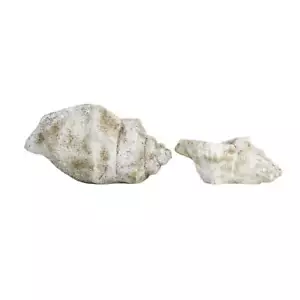 Pflanzgefäß Muschelschale aus Gussbeton | 2 Größen - Bild 1 von 4