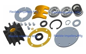 Major Water Pump Repair Kit for Jabsco 21140-2401 21140-2601 Ford Lehman 150... - Picture 1 of 1