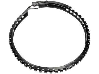 Abrazadera de carcasa de filtro de aire Dorman 75994WM 2000 para Ford F550 Super Duty 1999-2004 Foto 1 de 2