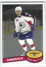 2014-15 Norfolk Admirals (AHL) Brandon Yip