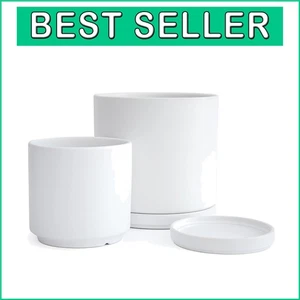 Indoor Ceramic Planter Set – 6 & 8 Inch with Drainage for Healthier Plants - Picture 1 of 9