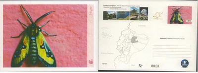 Tarjeta postal ecuador 2011 papelería amazon insecto mariposa grande como nueva sin usar, en caja Foto 1 de 3