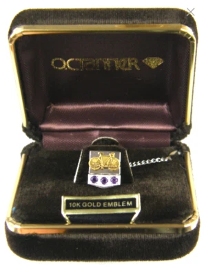 Новый из старых запасов винтажный галстук Schwinn для сотрудников на 5 лет золото 10 карат 925 пробы и аметист - Изображение 1 из 4