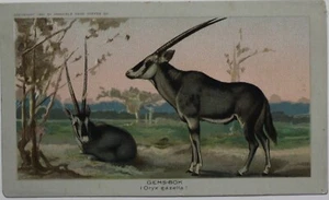 1890 ARBUCKLE COFFEE K1 Animals Series # 45 GEMS-BOK RARE Trade Card - Picture 1 of 2