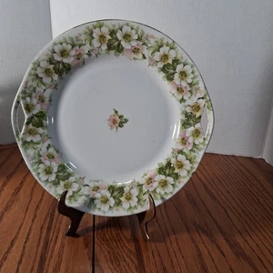 St P. M  Germany Is What Tha Back Stamp Looks Like Me Im Not  Plate With Handles - Picture 1 of 24