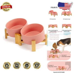 Non-Spill Dog and Cat Bowl with 15° Tilt for Healthy Feeding, 3.6 Cups Capacity - Picture 1 of 9