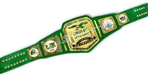 Philadelphia Eagles Championship Belt Adult Size 2MM / 4MM Brass & Zinc - Picture 1 of 5