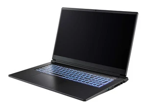 Captiva Gaming NB I94-346GE|i7 13620H|32GB DDR5|RTX 5060|1 TB|17,3"|Win11 - Bild 1 von 6