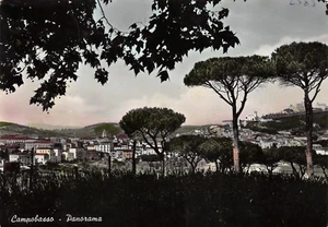 8231) CAMPOBASSO, PANORAMA. VIAGGIATA NEL 1953. - Imagen 1 de 2