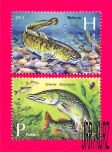 BELARUS 2011 Nature Fauna Fish Burbot & Pike 2v Sc780-781 Mi870-871 MNH - Picture 1 of 1