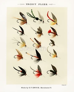 Orvis Vintage Angeln Fliegen 174-188 Zeichnung hochauflösender Giclée-Druck 8 x 10 - Bild 1 von 1