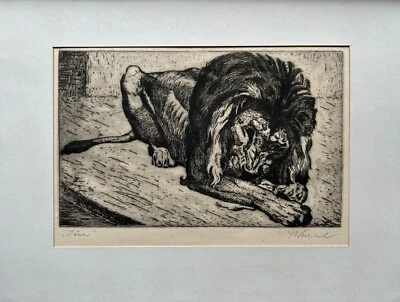 Radierung Friedrich Westphal Hamburg liegender Löwe Tier Porträt - Bild 1 von 4