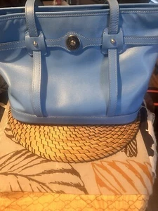 Dooney & Bourke Blue Handbag, + Credit Card Holder Very Unique Color - Picture 1 of 9
