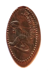 Moneda Tono Cobre Coleccionista LA ACADEMIA DE CIENCIAS NATURALES De Colección - Imagen 1 de 3
