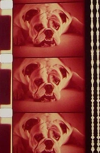 PHASE III COMMERCIAL 16MM FILM MOVIE ON REEL G83A - Picture 1 of 5
