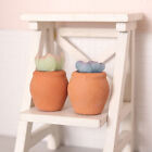 1:12 Dollhouse Miniature Succulent Potted Plant Pot Model Home Garden Decor  BII
