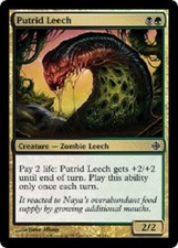 Putrid Leech x4 NM-VLP  Magic the Gathering MTG Alara Reborn, # 95