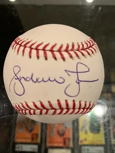 2006 WBC ANDRUW JONES ATLANTA BRAVES SINGLE SIGNED BASEBALL JSA MINT PETCO - Picture 1 of 2