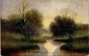 Postcard The Brook - Posted 1909 Sodus New York - Picture 1 of 2