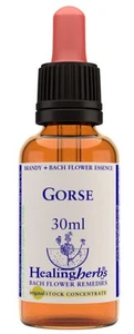 Gorse Bach Flower Remedies Healing Herbs 30ml - Bild 1 von 1