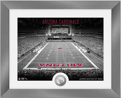 NFL Highland Mint Arizona Cardinals Art Deco Stadium Silver Coin Picture 40x33cm Cover