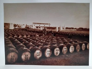 Foto Riproduzione Primi '900 San Severo Puglia stabilimento vinicolo Fraccacretà - Picture 1 of 1