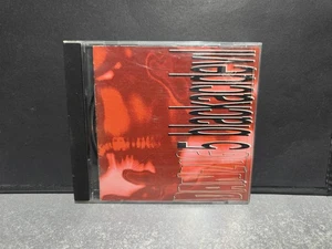 Danzig, Danzig 5: BlackAcidEvil (CD, 1996) EX Cond, Complete CIB, Free Shipping - Imagen 1 de 5