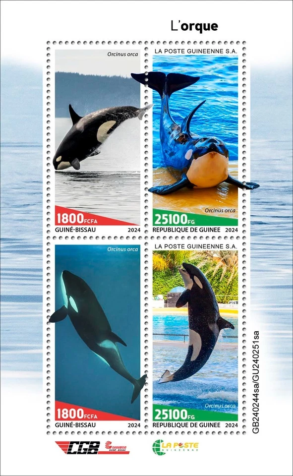 Марки косатки косатки киты как новые без наклеек и следов 2024 Гвинея-Бисау M/S - Изображение 1 из 1