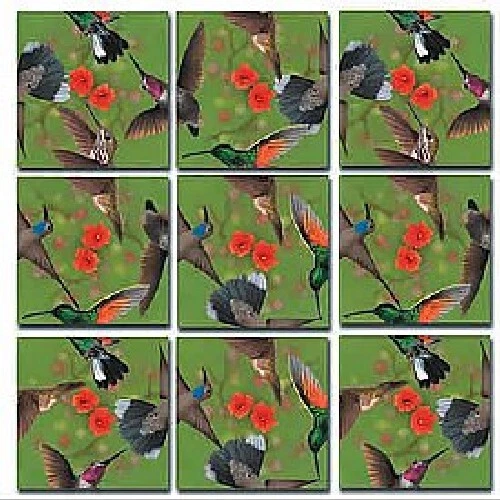 Hummingbirds B. Dazzle Scramble Squares 9 Piece Puzzle - Image 1 of 1