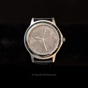 Muonionalusta Meteorite Watch  - Picture 1 of 5