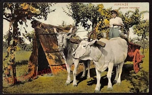 ae7020 - ANTIKE AK - Florenz Stadt - Landkostüm - Bild 1 von 1