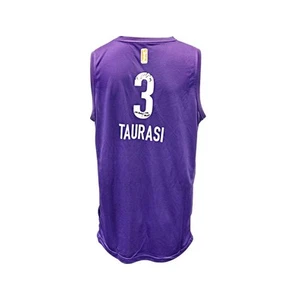 Diana Taurasi Phoenix Mercury Autographed and Inscribed Purple Jersey Size L - Picture 1 of 3