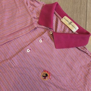 Fairway & Greene Mens L Striped Cotton Polo Short Sleeve Shirt Seminole Golf  - Picture 1 of 8
