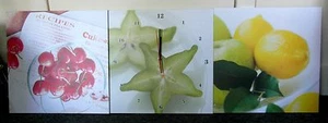Reloj de pared de arte moderno de tres piezas en diseño frutal 3 x 40 cm x 40 cm nuevo y en caja - Imagen 1 de 6