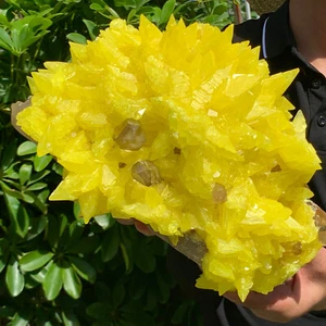 12.49LB Beautiful Minerals ** LARGE NATIVE SULPHUR OnMATRIX Sicily- FREE - Picture 1 of 16
