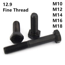 Fine Thread Black 12.9 Steel Hexagon Bolts Hex Head Screws M10 M12 M14 M16 M18