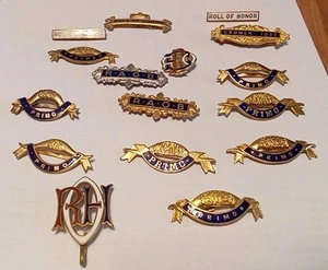 Royal Antediluvian Order of Buffaloes Lapel Badges - Picture 1 of 4