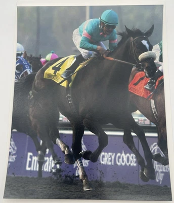 2009 Breeders Cup Grade 1 Classic Zenyatta & Mike E. Smith 8x10 Photo - Image 1 of 4