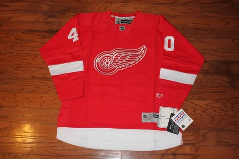 NHL Detroit Red Wings  #40 Henrik Zetterberg  Hockey Jersey, Size XXL Cover