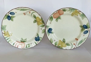 Set of 2 Vintage Mikasa Fruit Panorama Dinner Plates 11 1/8" DC014 Excellent - Picture 1 of 8