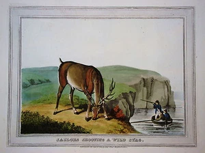 Hirsch Hirschjagd Jäger seltener altkolorierter Kupferstich in Aquatinta 1813 - Picture 1 of 1