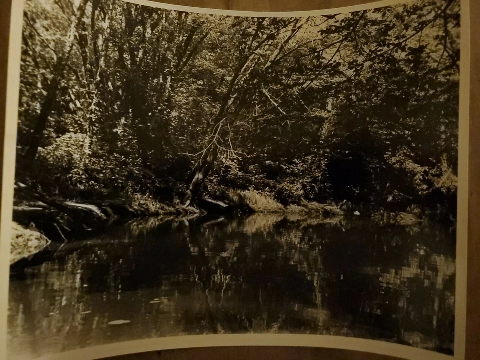 Foto de río arbolada vintage en blanco y negro de 10' X 8' Foto 1 de 1