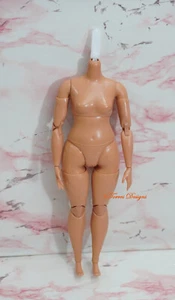 New Barbie Basics 05 Curvy Doll Body from Signature mtm for Customization OOAK - Picture 1 of 2