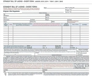 Bill of Lading Short Form, 8-1/2 X 7-7/16 Inches, White, 3-Part, 250-Count (B387 - Picture 1 of 12