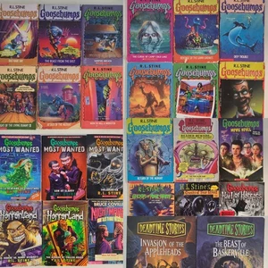 Large Goosebumps RL Stine Book Lot Large 1990s 2000s Horror Books - Picture 1 of 20