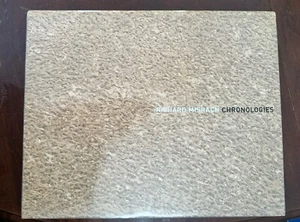 Richard Misrach / Chronologies 2005 Photography Rare Oop - Picture 1 of 5